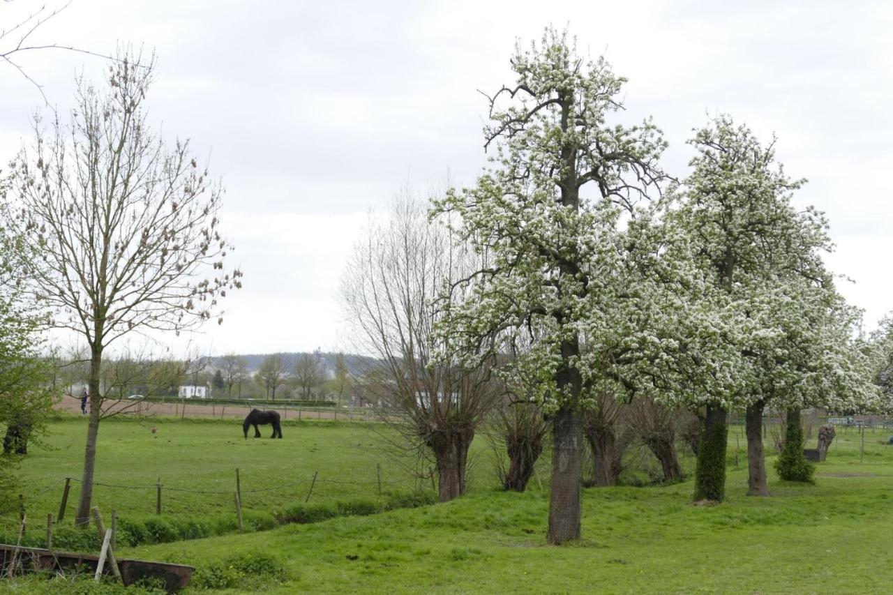 Meschermolen 14 Mesch