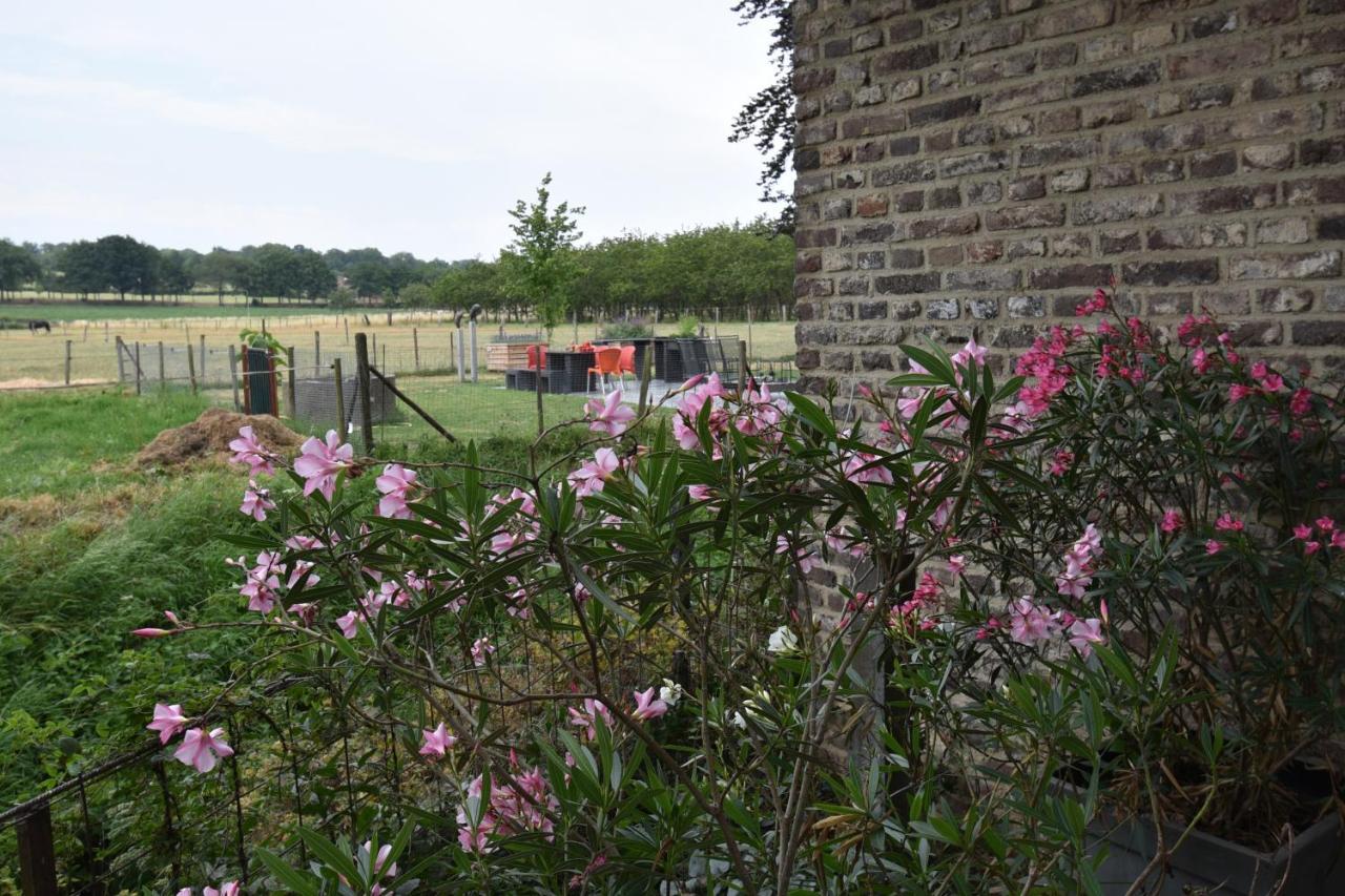 Meschermolen 14 Mesch